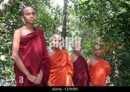 Vier junge buddhistische Mönche standen zusammen unter den Bäumen Stockfoto