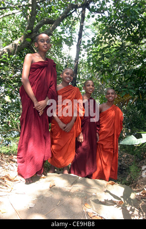 Vier junge buddhistische Mönche standen zusammen unter den Bäumen Stockfoto