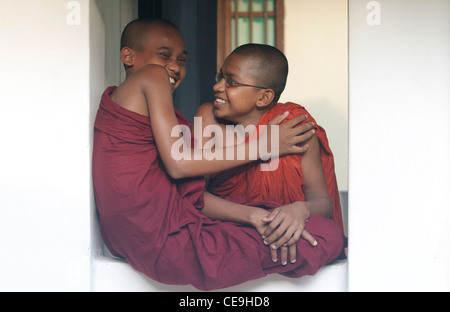 Zwei junge buddhistische Mönche Lachen gemeinsam Stockfoto