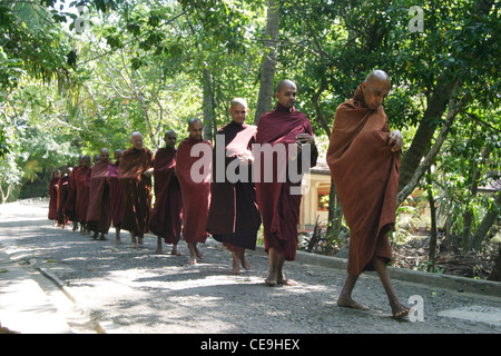 Eine Präzession der junge buddhistische Mönche als sie Rückkehr aus einer Pindapata Zeremonie. Kogalla Tempel Sri Lanka Süd West Stockfoto