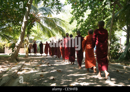 Eine Präzession der junge buddhistische Mönche als sie Rückkehr aus einer Pindapata Zeremonie. Kogalla Tempel Sri Lanka Süd West Stockfoto