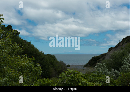 Blick auf das Meer, Palliser Bay, Cape Palliser unterwegs, Aorangi Forest Park, in der Region Wellington, Neuseeland. Stockfoto