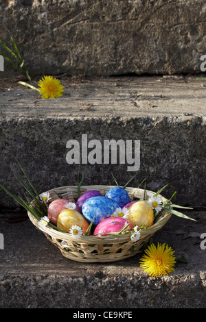 Bunte Ostereier in einem Korb mit Löwenzahn und Gänseblümchen Blumen, Frühling im Freien Schuss. Stockfoto