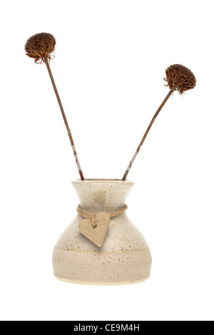 ein Keramiktopf mit zwei getrocknete Monarda Didyma Blütenköpfe Stockfoto