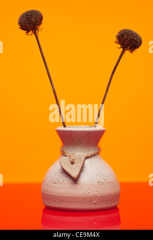 ein Keramiktopf mit zwei getrocknete Monarda Didyma Blütenköpfe Stockfoto