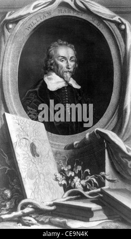 William Harvey, englischer Arzt Stockfoto