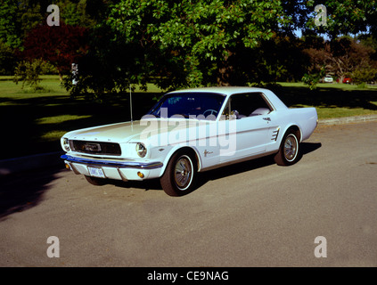 1966 Ford Mustang Stockfoto