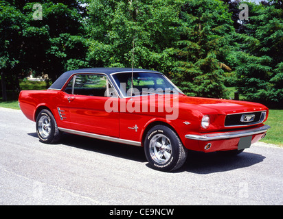 1966 Ford Mustang Stockfoto