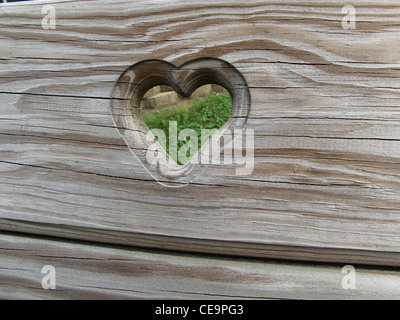 Symbol des Herzens geschnitzt auf der Holzbank. Stockfoto