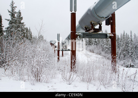 Malerische verschneite Winterlandschaft südlich der Brooks Range in Alaska im Oktober zeigen Trans-Alaska-pipeline Stockfoto