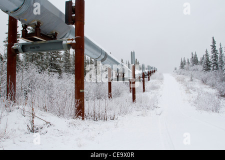 Malerische verschneite Winterlandschaft südlich der Brooks Range in Alaska im Oktober zeigen Trans-Alaska-pipeline Stockfoto
