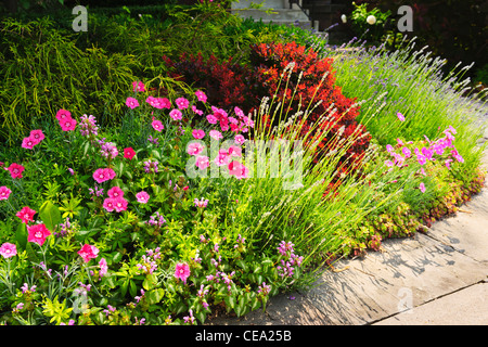 Angelegten Garten am Haus mit blühenden Blumen Stockfoto