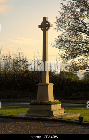 Remembrance Sunday Mohn Mohnblumen Stockfoto