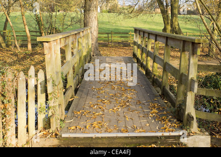 Das Ufer eines Flusses mit Büschen und Bäumen. Stockfoto