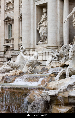Der Trevi-Brunnen in der Mitte von Rom Italien die Fontana di Trevi Stockfoto