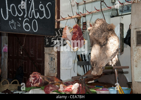 Kamelfleisch zum Verkauf ausgeschrieben mit einem Kamel in der Medina von Fes, Marokko Stockfoto