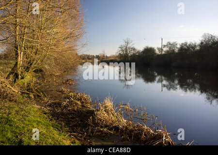 Fluß Avon Welford auf Avon warwickshire Stockfoto