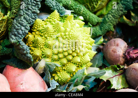 Borough Outdoor Farmers Market, London, Gemüse Stall Shop speichern frischer Romanesco Stockfoto