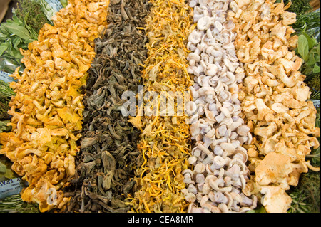 Borough Market, London, Korb Haufen Auswahl Sortiment von frischen Champignons im Gemüseladen Gemüse Stall Shop Shop Stockfoto