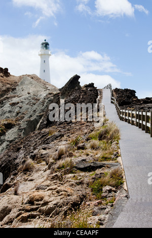 Castlepoint Leuchtturm auf der felsigen Küste von Neuseeland Stockfoto