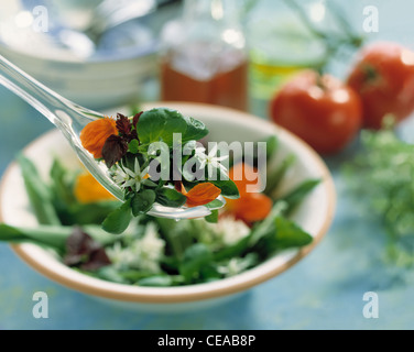 Dennoch: Gewürze und Blüten Stockfoto