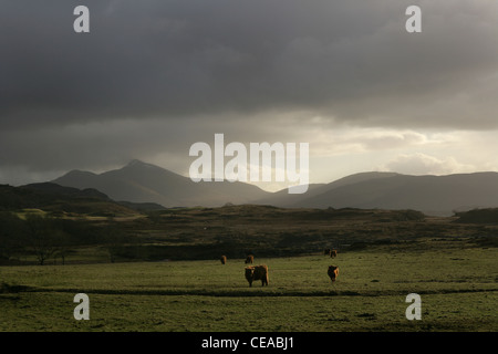 Ben More in der Ferne. Stockfoto