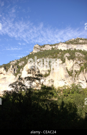 Kalksteinfelsen und Wald in der Nähe der Stadt Entraygues, Frankreich Stockfoto