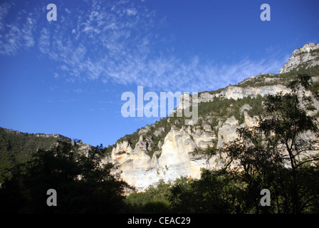 Kalksteinfelsen und Wald in der Nähe der Stadt Entraygues, Frankreich Stockfoto