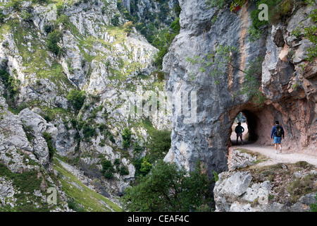 Wanderer in die Garganta del sorgen (kümmert sich Schlucht) in den Picos de Europa Stockfoto