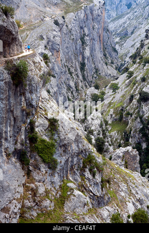 Wanderer in die Garganta del sorgen (kümmert sich Schlucht) in den Picos de Europa Stockfoto
