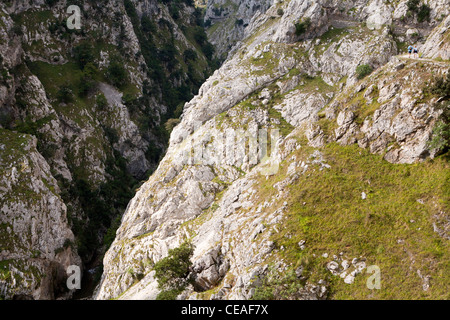 Die Garganta del sorgen (kümmert sich Schlucht) in den Picos de Europa Stockfoto