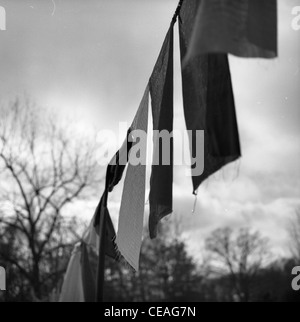 Tibetische Aktivisten März in Indiana für Unabhängigkeit Tibets im Winter 2003 Mönche Stockfoto