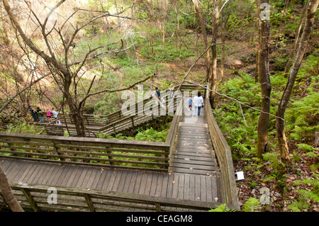 Des Teufels Millhopper geologischen Staatspark, Gainesville, Florida, Vereinigte Staaten von Amerika, USA, Nordamerika Stockfoto