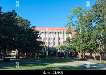 Bibliotheksgebäude West, University of Florida, Gainesville, Florida, USA, Vereinigte Staaten, Nordamerika, Architektur Stockfoto