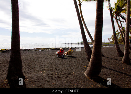 Black Sand Beach, Punalu'u Beach Park, einen geschützten Lebensraum für grüne Meeresschildkröten, south coast Big Island, Hawaii Stockfoto