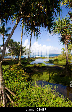 Waiuli Beach Park auf Big Island, Hawaii Hilo Bay, Hilo Stockfoto