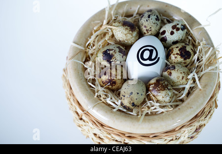 Bild des großen weißen Ei mit @-Zeichen umgeben von Wachteleiern im nest Stockfoto