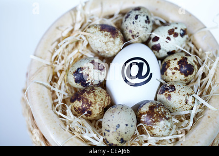 Bild des weißen Ei mit @-Zeichen umgeben von Wachteleiern im nest Stockfoto