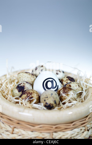 Bild von Ei mit @-Zeichen unter Wachteleier im nest Stockfoto