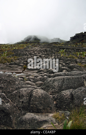 Die bizarren Felsformationen in der Nähe des Gipfels (El Carro) des Mount Roraima (Tepui) in Venezuela Stockfoto