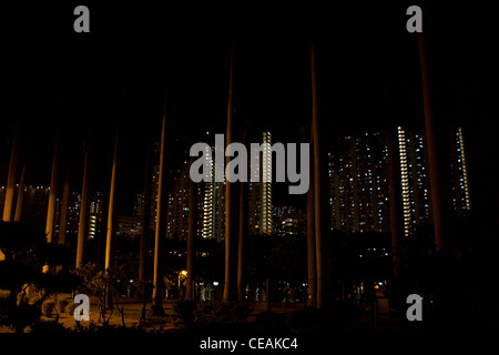 Baumreihe am Rande des ShaTin Park mit high-Rise Wohnungen nachts ShaTin neue Gebiete Hong Kong SAR China Stockfoto