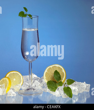 studio photography of a filled stemware glass in blue ambiance with citrus fruits and ice cubes Stockfoto