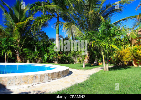 Privater Pool mit Palmen Stockfoto