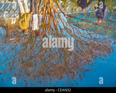 Brooklyn Botanic Garden Grounds in Brooklyn NYC Stockfoto