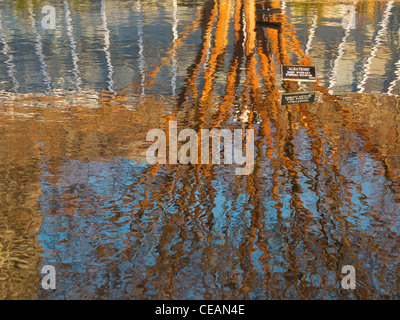 Brooklyn Botanic Garden Grounds in Brooklyn NYC Stockfoto