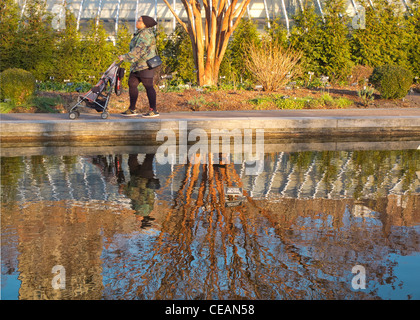 Brooklyn Botanic Garden Grounds in Brooklyn NYC Stockfoto