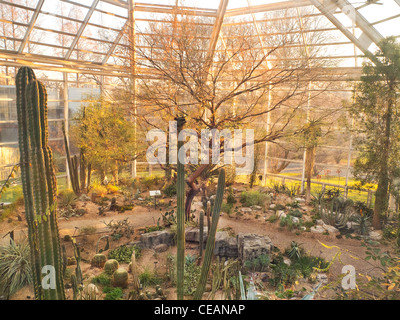 Brooklyn Botanic Garden Grounds in Brooklyn NYC Stockfoto