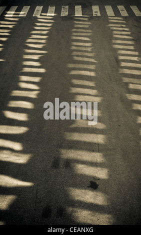 Reflexionen über leere Straße mit Fußgängerüberweg Stockfoto