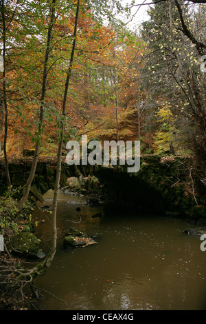 Fluss und Brücke Valleyfield Wald, Fife Schottland. Stockfoto