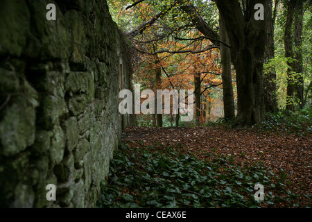 Teil einer Ruine in Valleyfield Wäldern, Fife, Schottland Stockfoto